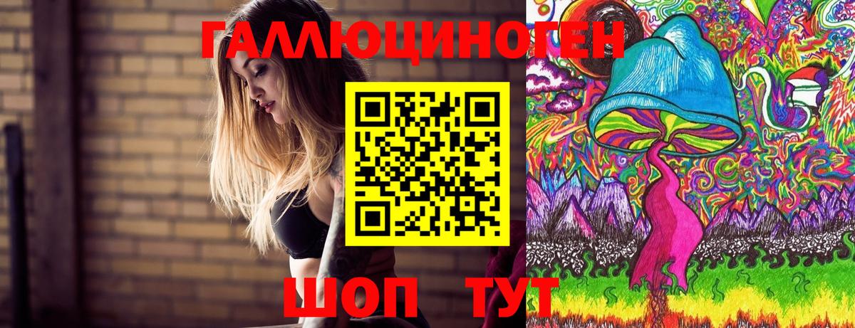 Алушта  Галлюциногенные грибы мицелий  Псилоцибиновые грибы прущие грибы  Вход с VPN 